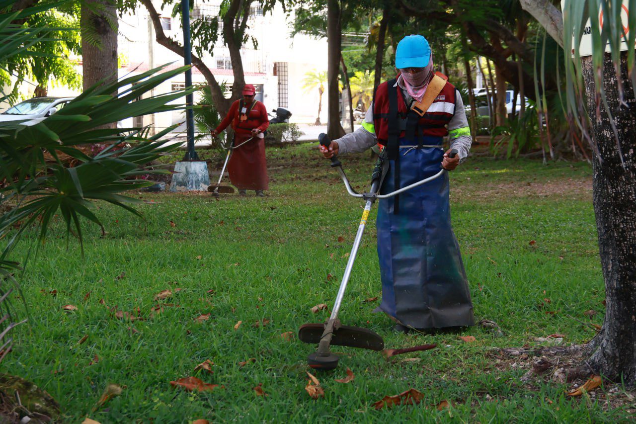 uploads/6/32/01 (2137).Jpeg